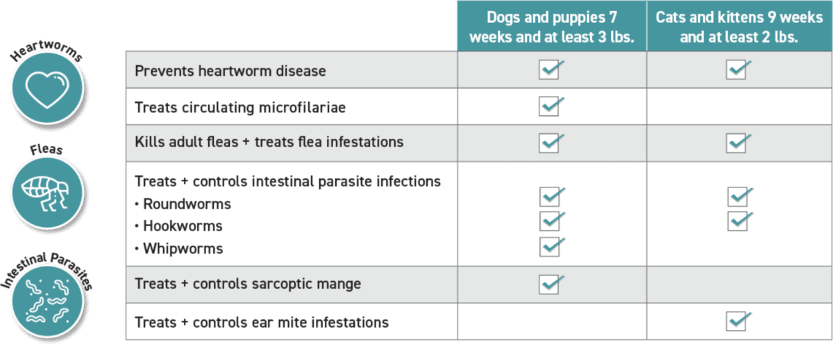 IMOXI™ Topical – Imoxi (imidacloprid + moxidectin) Topical Solution