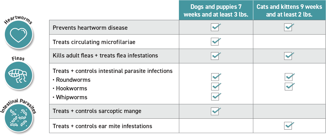 Imoxi Topical Solution checklist