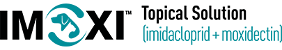 Imoxi (imidacloprid + moxidectin) Topical Solution Logo